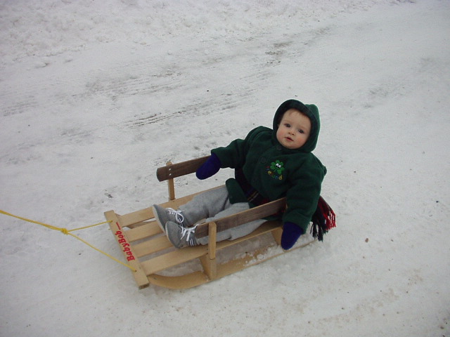sleddieday