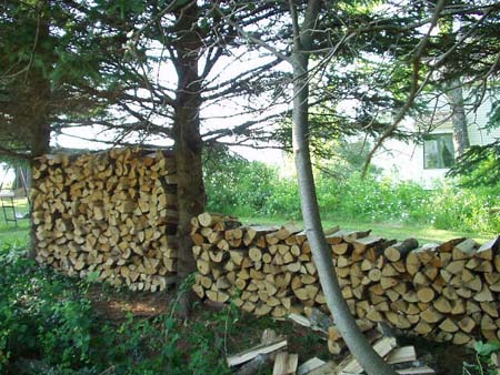 woodcrib22