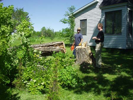 landscaping05