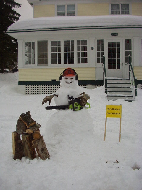 My other chainsaw is a Husky...